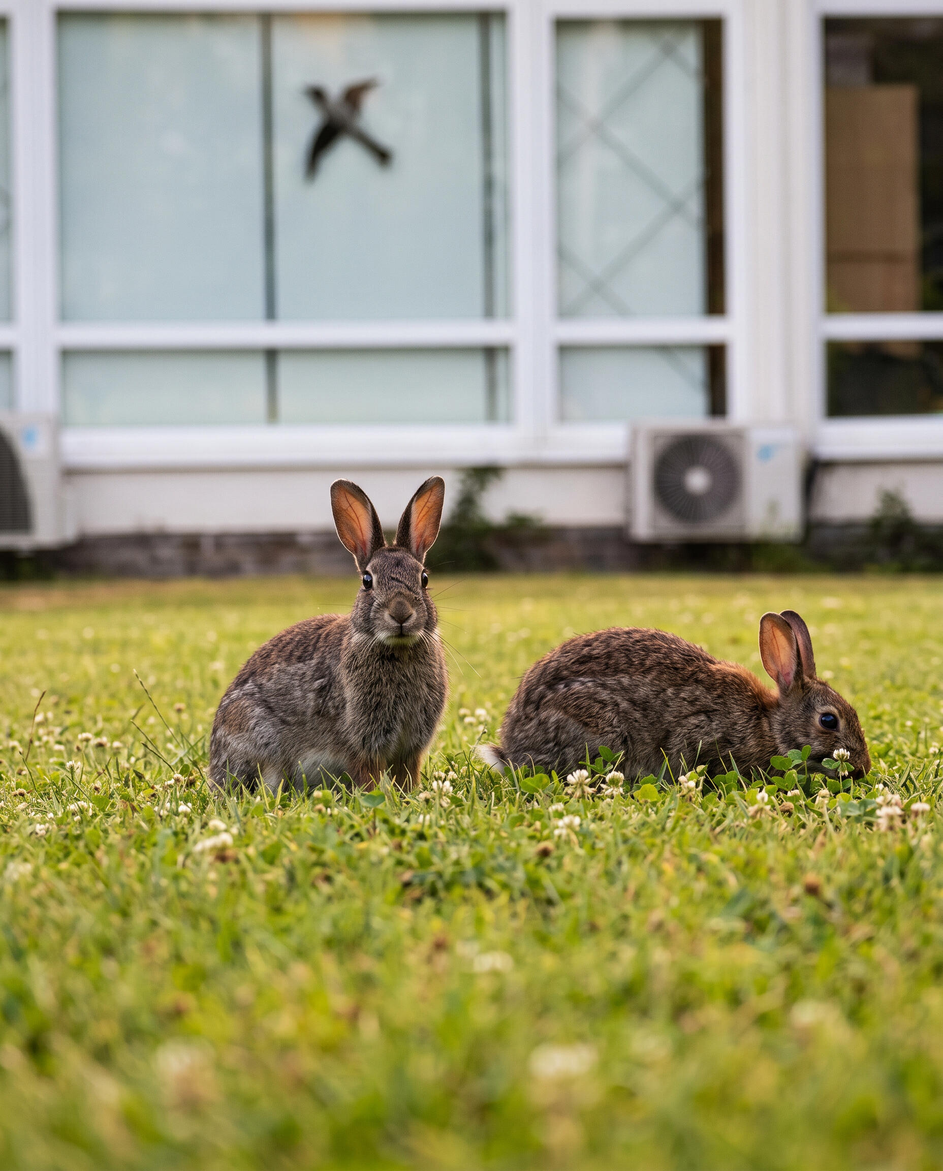 Studie über die tägliche Internetnutzungsdauer